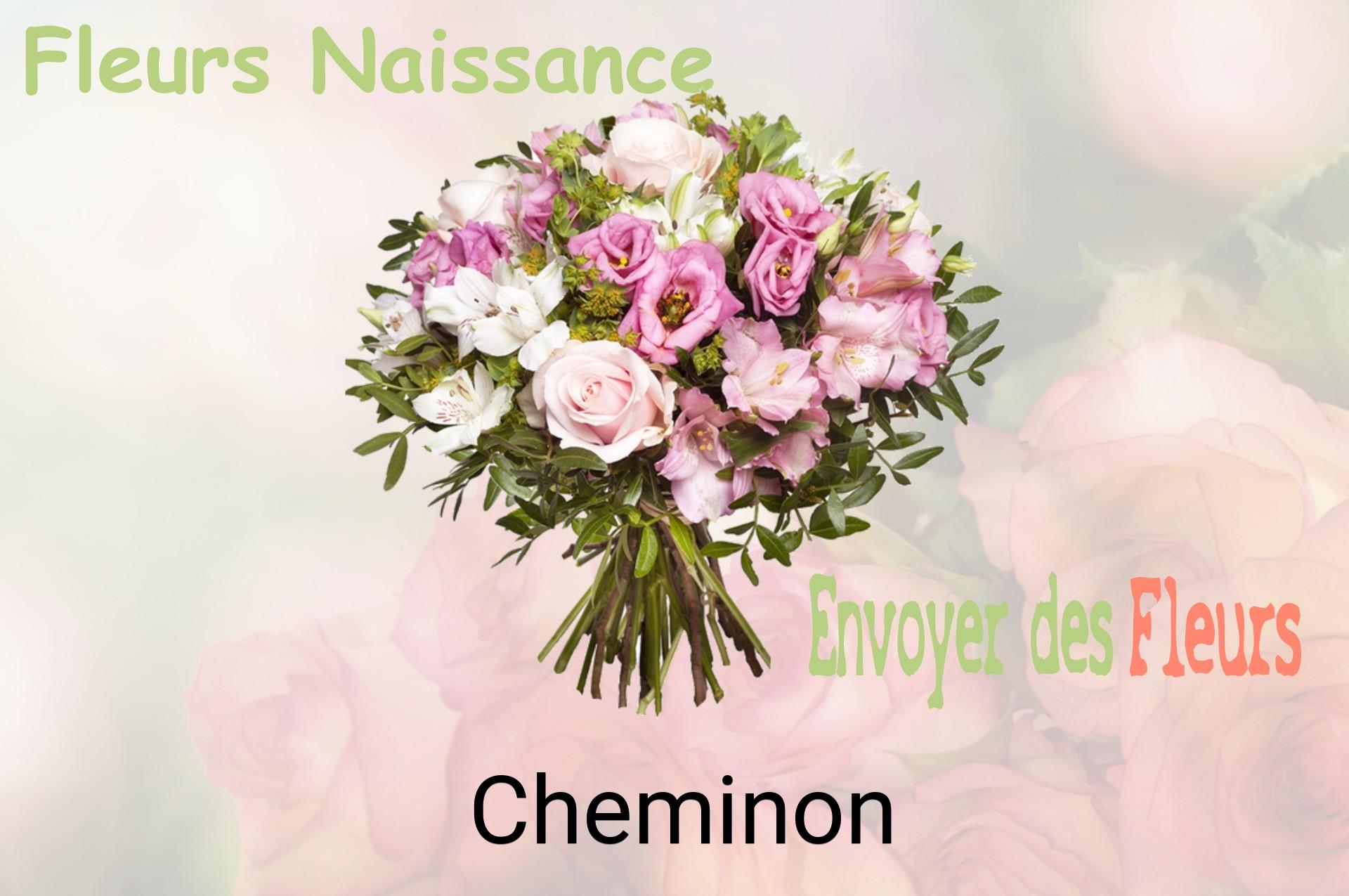 Bouquet de fleurs de naissance livré à Cheminon
